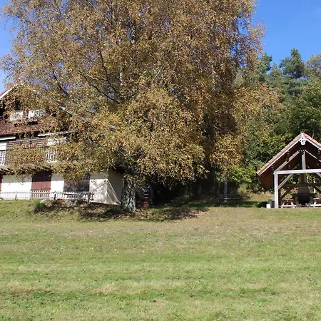 Apartment Mitoyen Dans Fraize