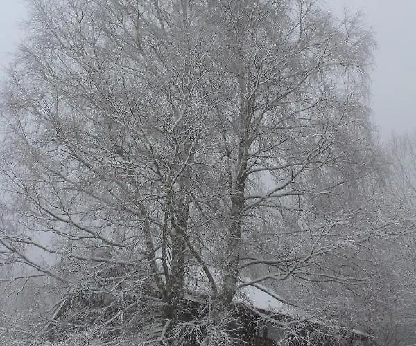 Mitoyen Dans Апартаменты *