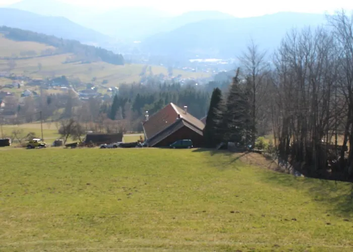 Апартаменты Mitoyen Dans Fraize